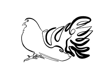 Pigeon Continuous Line