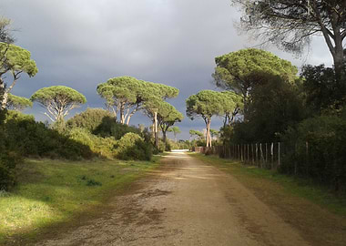 The calm before the storm