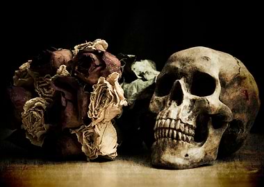 SkullRoses