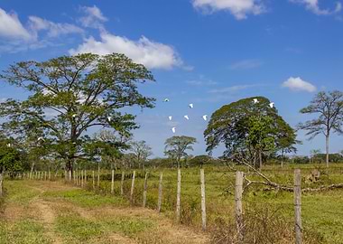 landscape in Venezuela
