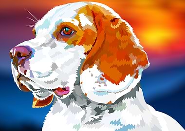 Beagle puppy in sunset