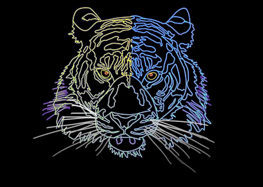 Beautiiful Glowing Tiger