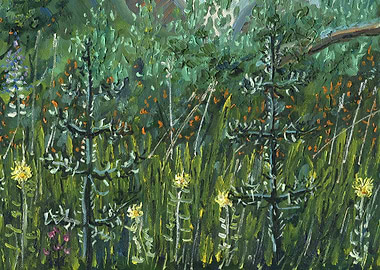 Forest Meadow Flowers 3