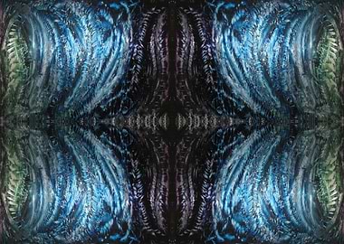 Aurora 8 Northern Lights