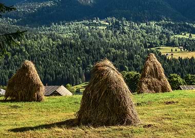 Haystacks