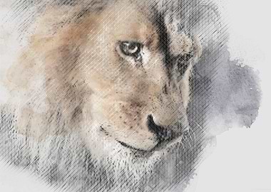 lion