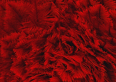 Ostrich Feathern red