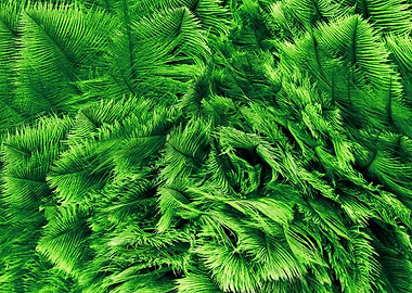 Ostrich Feathern green