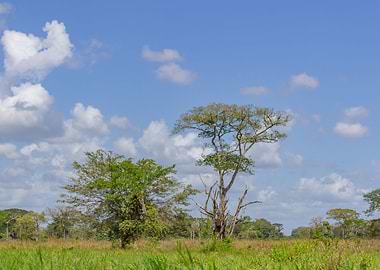 landscape in Venezuela