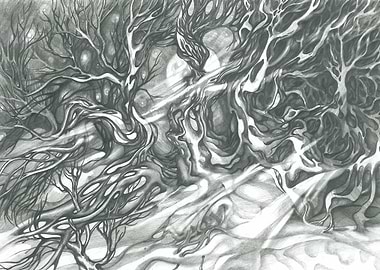 Sacred Garden Winter