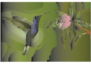 Purple Sunbird