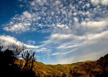 Sky with Clouds Lansdowne