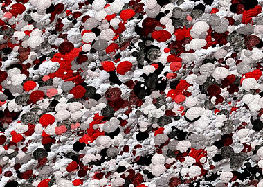 Brains and intelligence