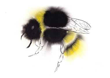 Bumblebee Painting