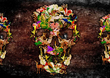 Animal Skull Kingdom