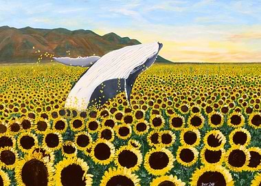 Sunflower Sea Breach