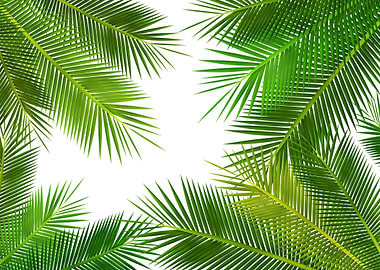 Coconut Leaf Art Pattern