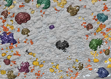 Superbrains Human activity