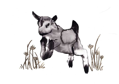 Goat Ink Painting