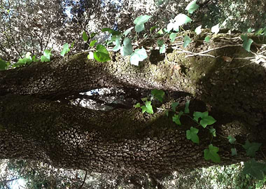 I will be watching you 1