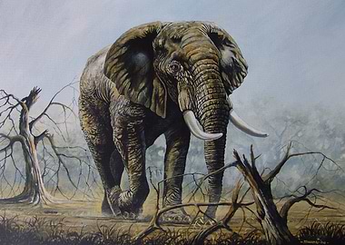 Elephant Bull in Tsavo