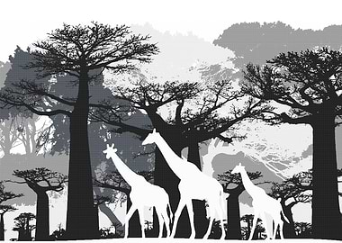 INTO THE FOREST 17 GIRAFFE