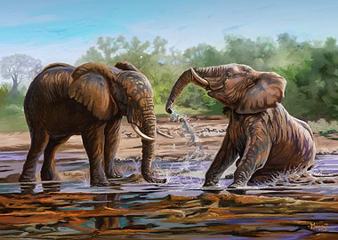 Playing in the Muddy Pool