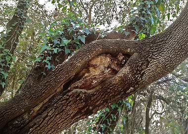 I will be watching you 3