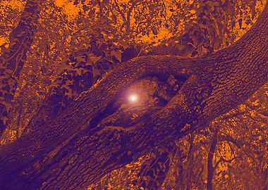 I will be watching you 4