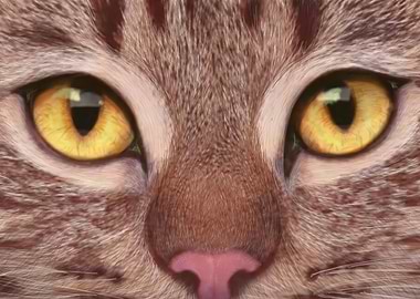 sweet cat stripes brown