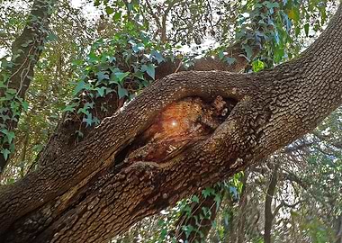 I will be watching you 2