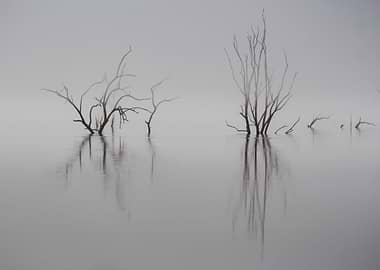 Reflections of the past