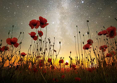 A Midsummer Nights Dream