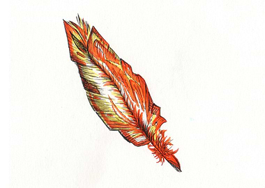 Feather