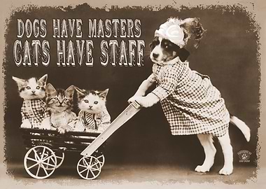 Vintage Cats Have Staff