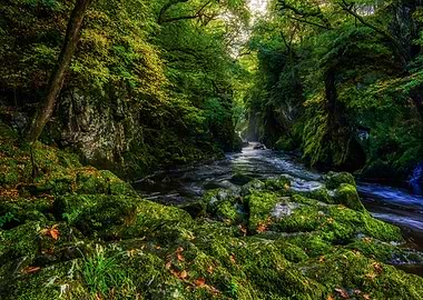 Fairy Glen