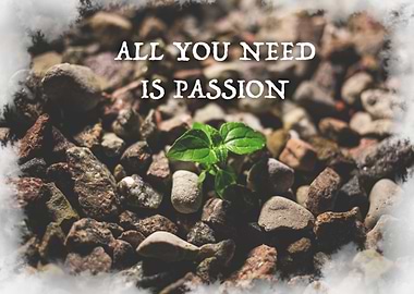 All You Need Is Passion