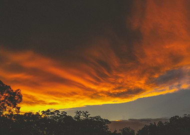 golden before the storm