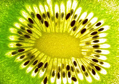Kiwi Slice