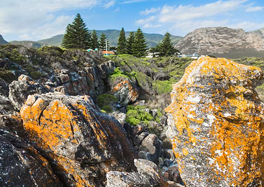 Cliff Path Hermanus