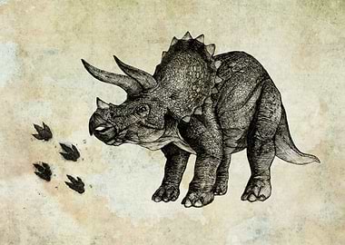 triceratops dinosaur