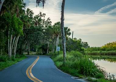 A Roadway with a River