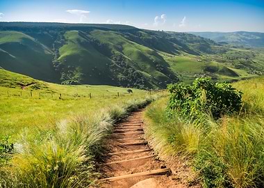 KZN South Africa