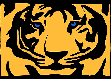 I got the eye of the tiger