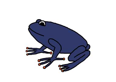 Blue Frog