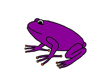 Purple Frog