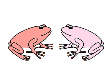 Rose and Pink Frogs