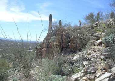 Desert Canyon