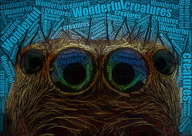 Wonderful Creatures