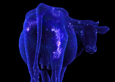 The Glastonbury Tales